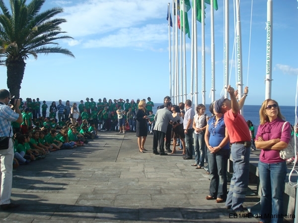 Bandeira Verde 2008