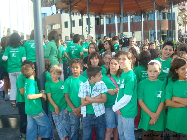 Bandeira Verde 2008