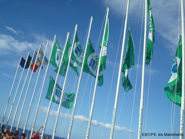 Bandeira Verde 2008