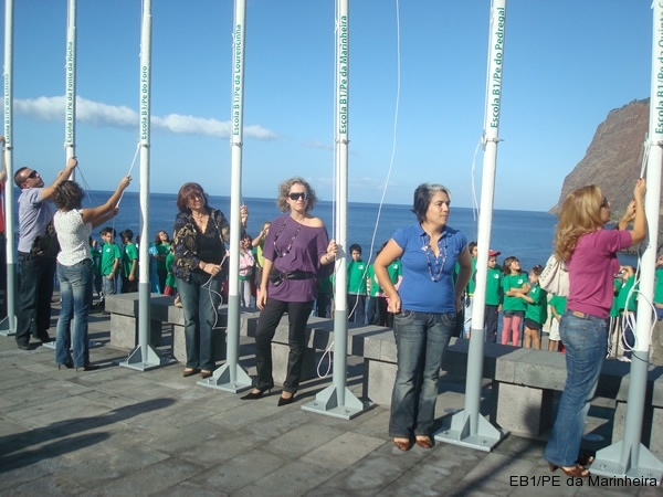 Bandeira Verde 2008