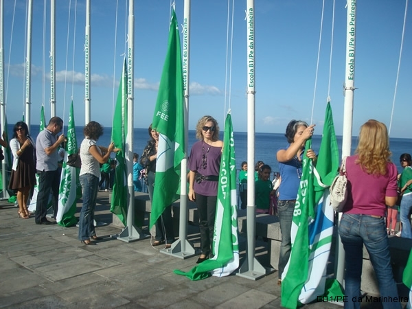 Bandeira Verde 2008
