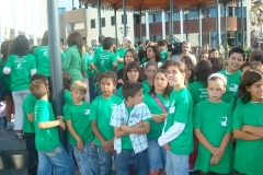 Bandeira Verde 2008
