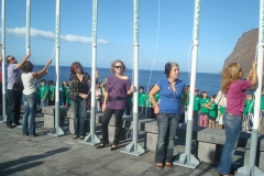 Bandeira Verde 2008
