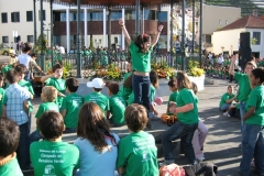 Bandeira Verde 2008