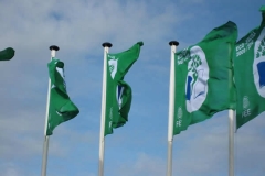 Bandeira Verde 2010