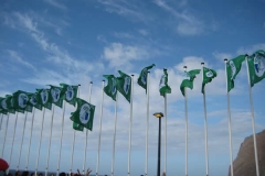 Bandeira Verde 2010