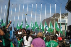 Bandeira Verde 2010