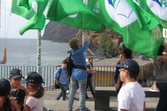 Bandeira Verde 2011