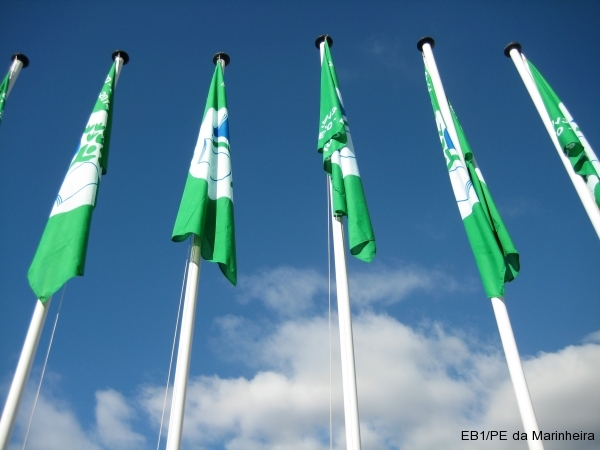 Bandeira Verde 2014