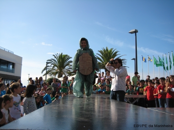 Bandeira Verde 2014