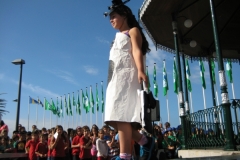 Bandeira Verde 2014
