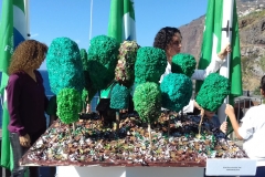 Bandeira Verde 2017