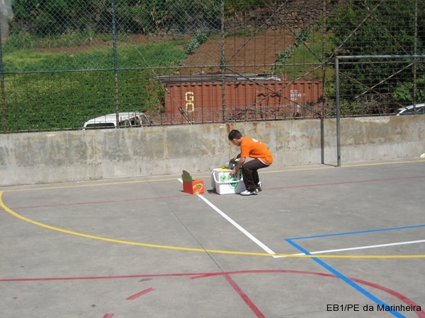 Dia Eco-Escolas 2009