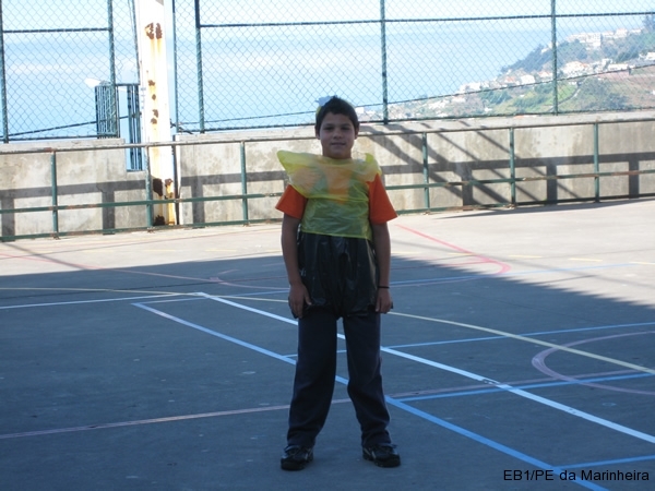 Dia Eco-Escolas 2009