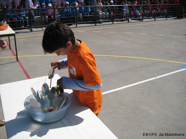 Dia Eco-Escolas 2009