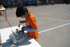 Dia Eco-Escolas 2009