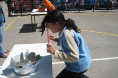 Dia Eco-Escolas 2009