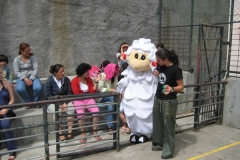 Dia Eco-Escolas 2010