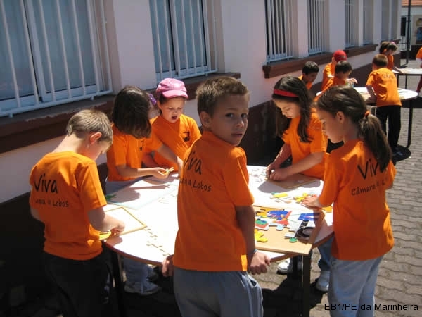 Dia Eco-Escolas 2011
