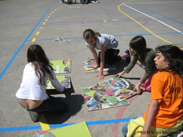 Dia Eco-Escolas 2011