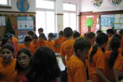 Dia Eco-Escolas 2011