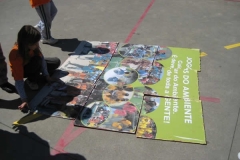 Dia Eco-Escolas 2011