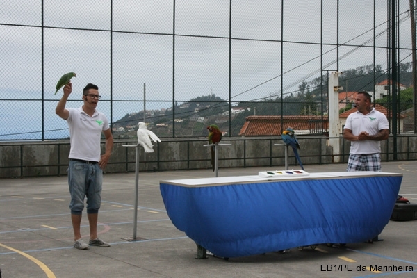 Dia Eco-Escolas 2012