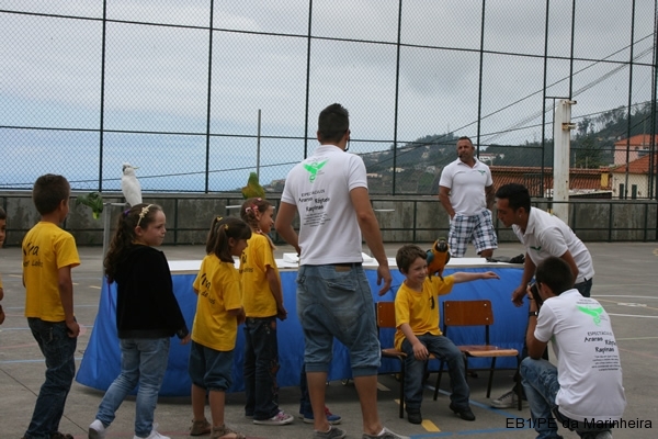 Dia Eco-Escolas 2012