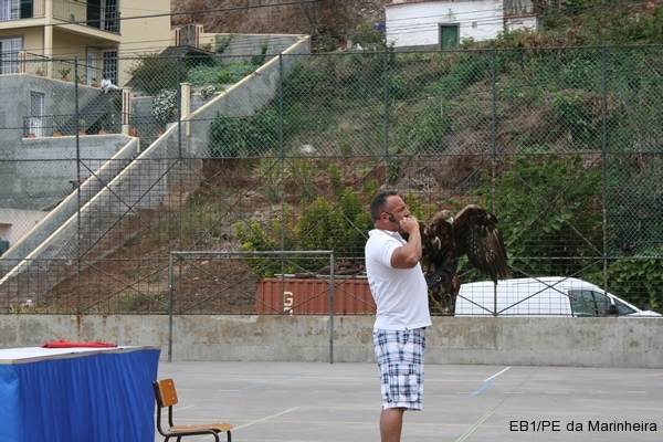 Dia Eco-Escolas 2012