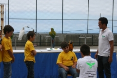 Dia Eco-Escolas 2012