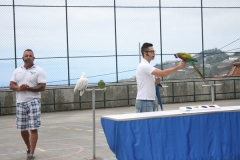 Dia Eco-Escolas 2012