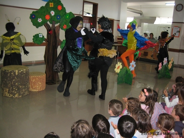 Dia Eco-Escolas 2013