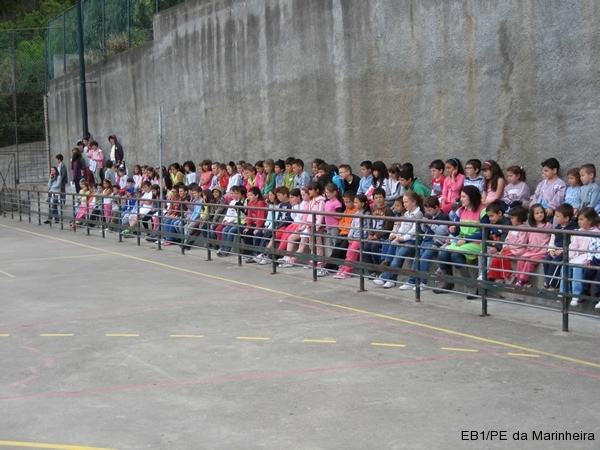 Dia Eco-Escolas 2013
