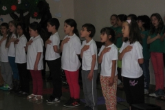 Dia Eco-Escolas 2013