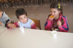 Dia Eco-Escolas 2015