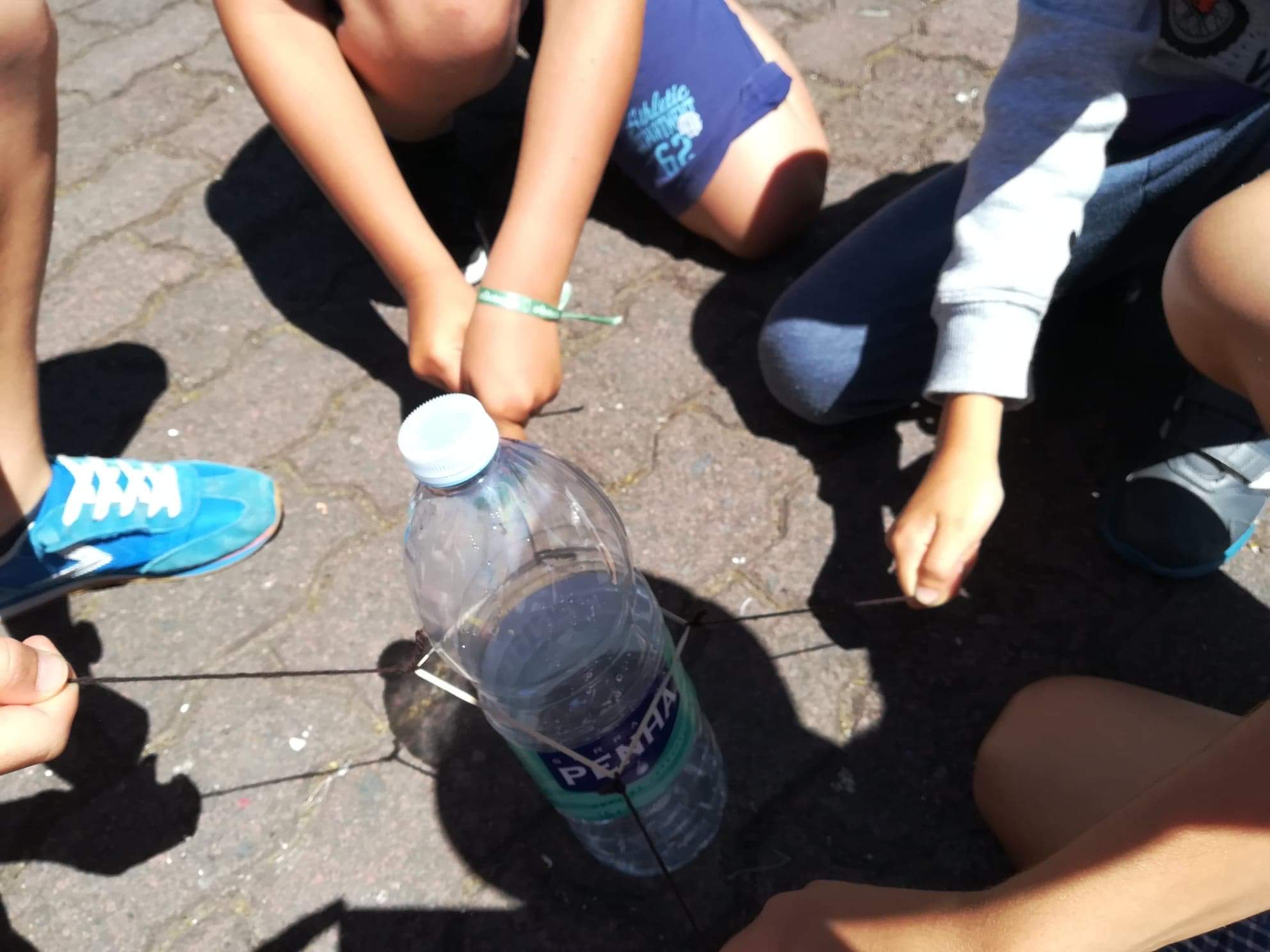 Dia Eco-Escolas 2019