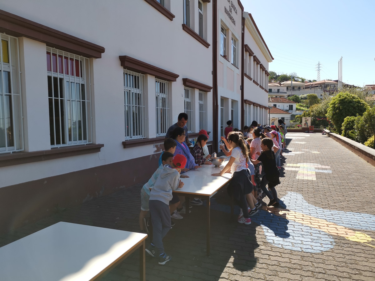 Dia Eco-Escolas 2019