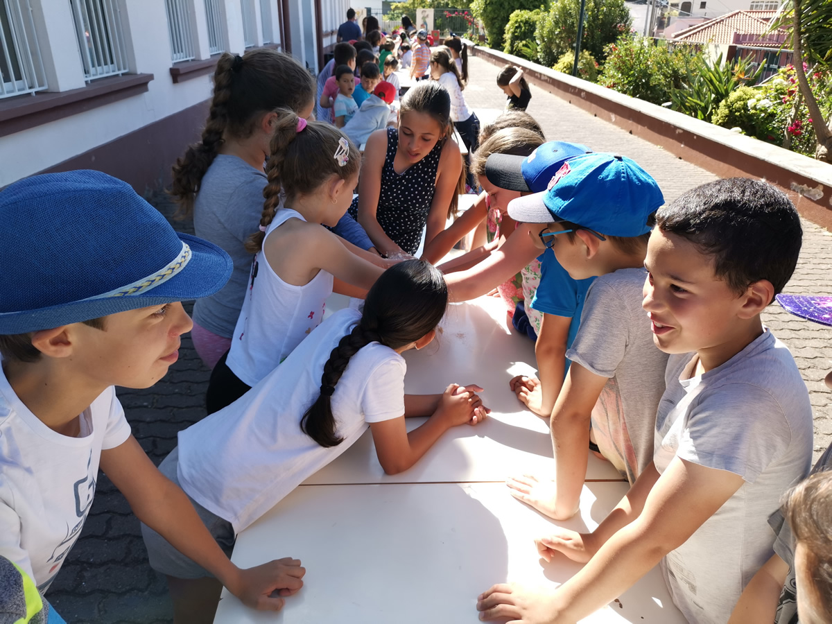 Dia Eco-Escolas 2019