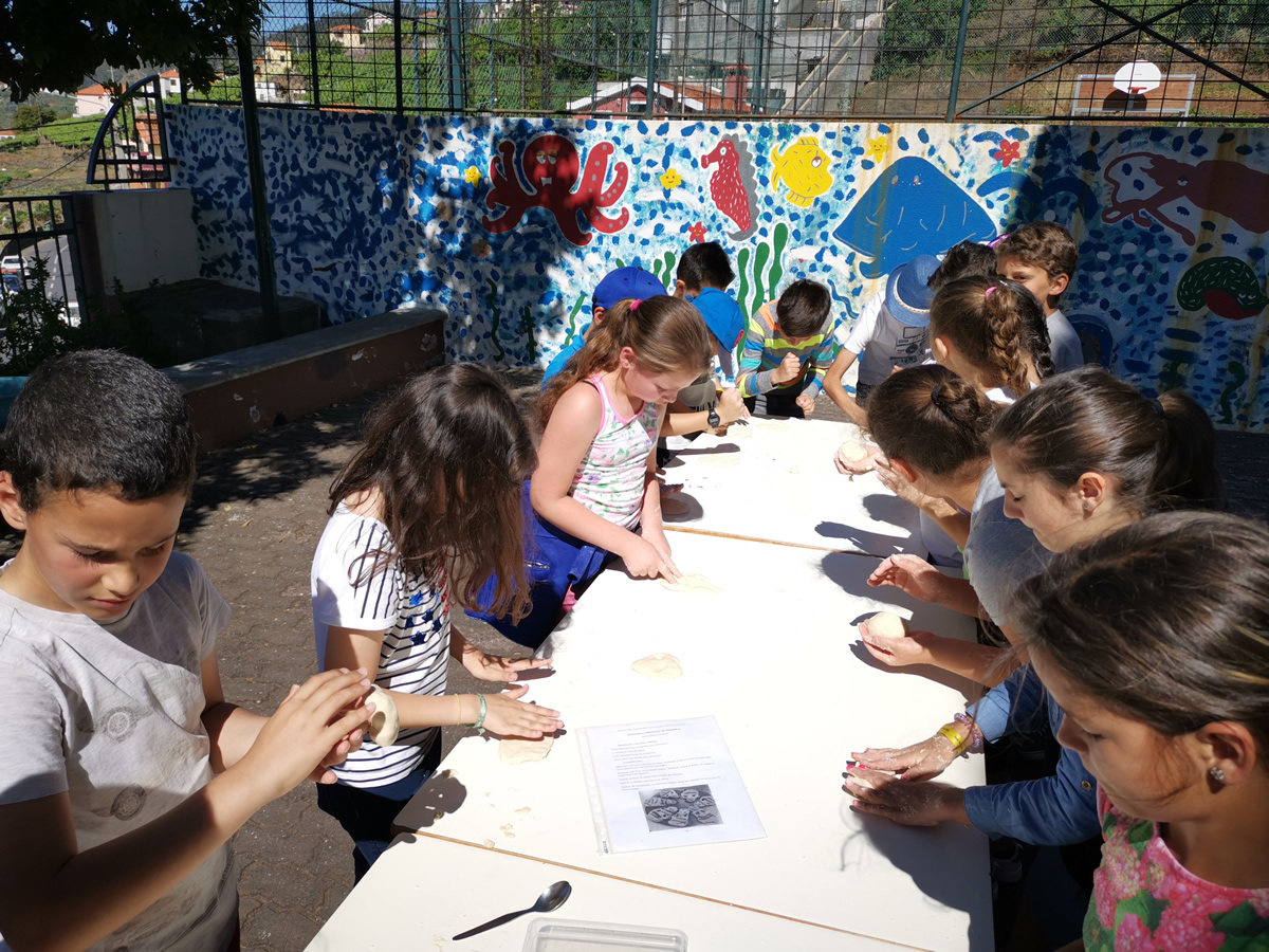 Dia Eco-Escolas 2019