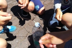 Dia Eco-Escolas 2019