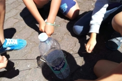 Dia Eco-Escolas 2019