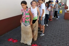 Dia Eco-Escolas 2019