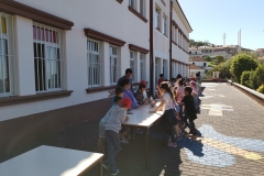Dia Eco-Escolas 2019