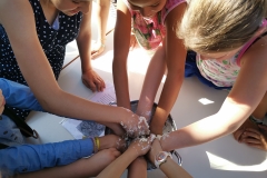 Dia Eco-Escolas 2019
