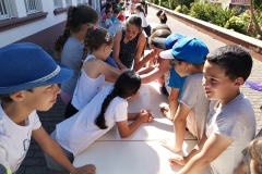 Dia Eco-Escolas 2019