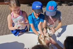 Dia Eco-Escolas 2019
