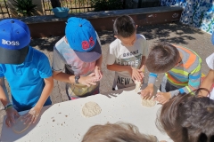 Dia Eco-Escolas 2019