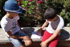 Dia Eco-Escolas 2019