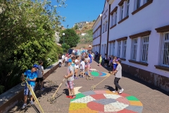 Dia Eco-Escolas 2019