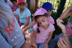 Dia Eco-Escolas 2019